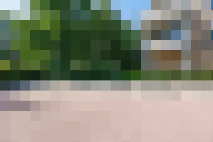 Skries 19 J Dronryp thumbnail 8