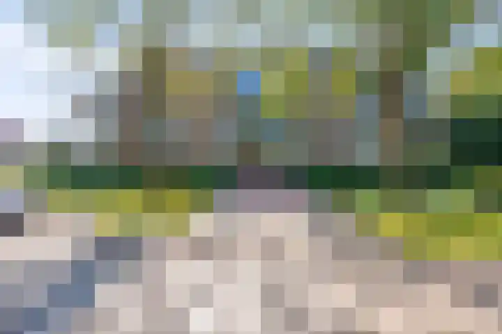 Skries 19 J Dronryp thumbnail 9