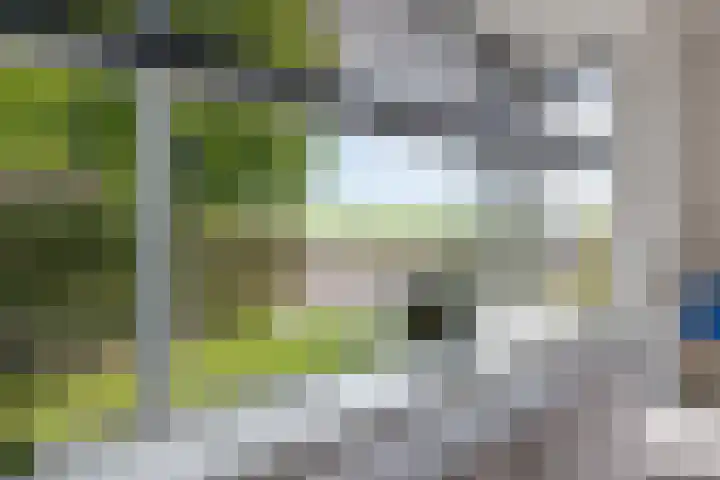 Skries 32 Wommels thumbnail 11
