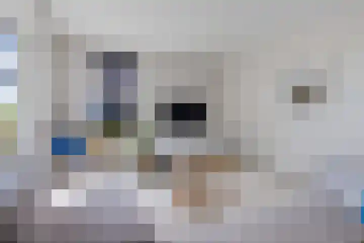 Skries 32 Wommels thumbnail 12