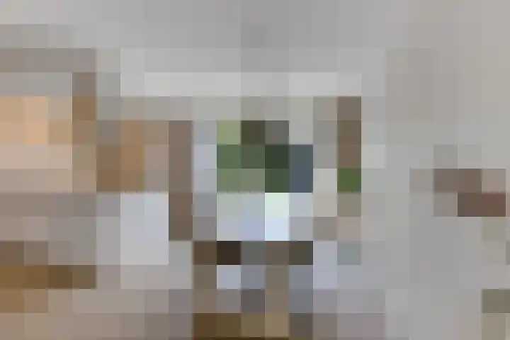 Skries 32 Wommels thumbnail 14