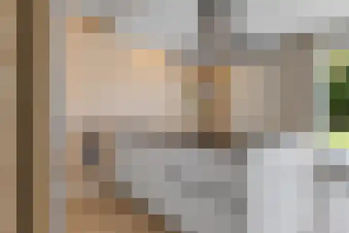 Skries 32 Wommels thumbnail 15