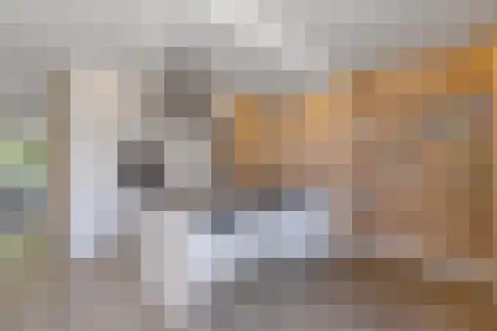 Skries 32 Wommels thumbnail 16