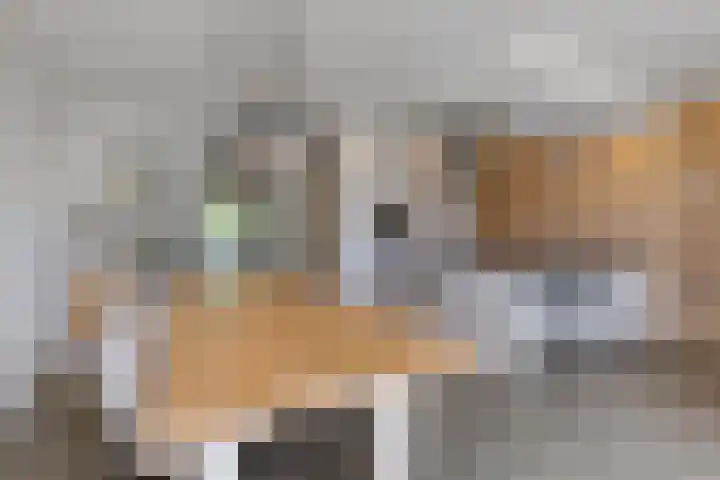 Skries 32 Wommels thumbnail 17
