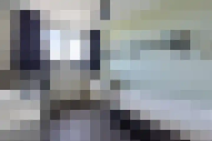 Skries 32 Wommels thumbnail 23