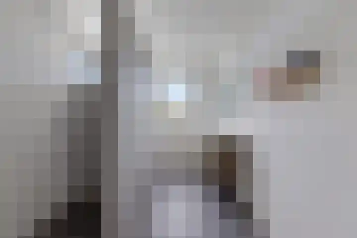 Skries 32 Wommels thumbnail 25