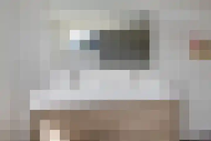 Skries 32 Wommels thumbnail 27