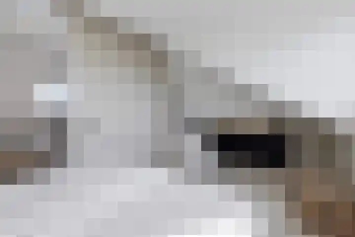 Skries 32 Wommels thumbnail 32