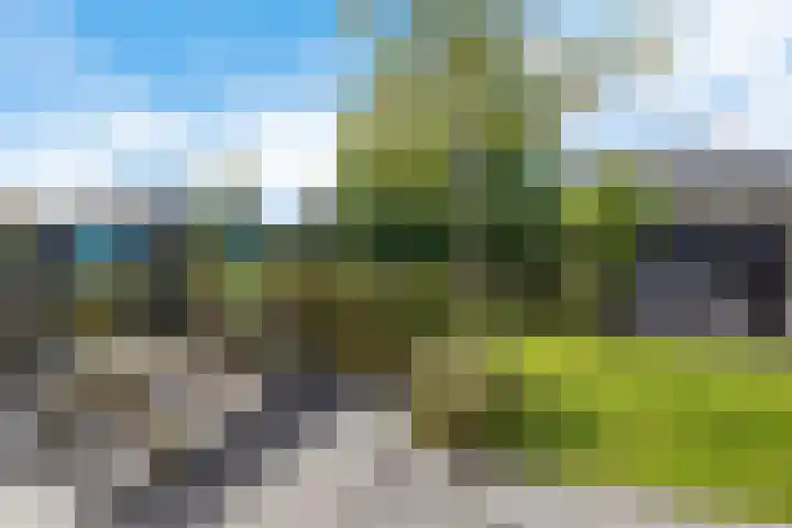Skries 32 Wommels thumbnail 33