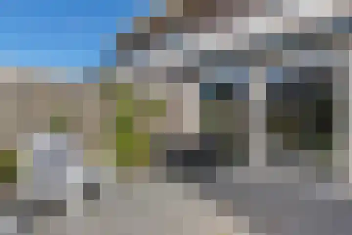 Skries 32 Wommels thumbnail 34