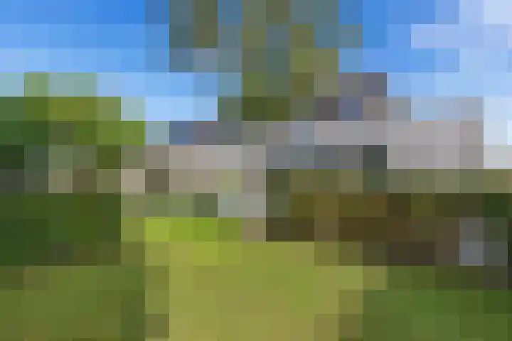 Skries 32 Wommels thumbnail 38