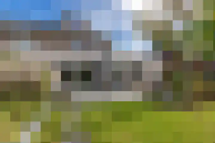 Skries 32 Wommels thumbnail 4