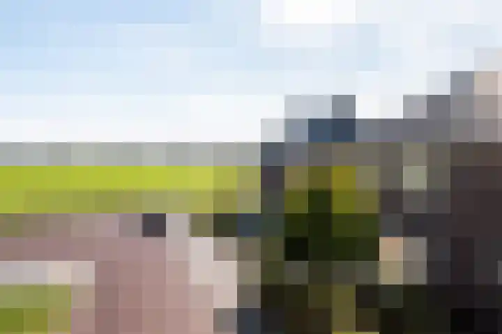 Skries 32 Wommels thumbnail 40
