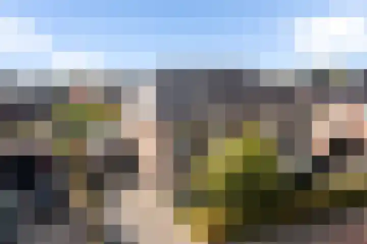 Skries 32 Wommels thumbnail 41