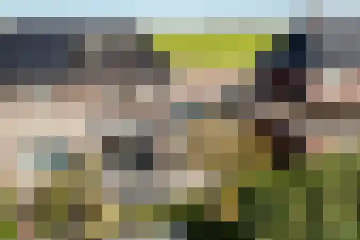 Skries 32 Wommels thumbnail 42