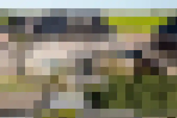 Skries 32 Wommels thumbnail 43