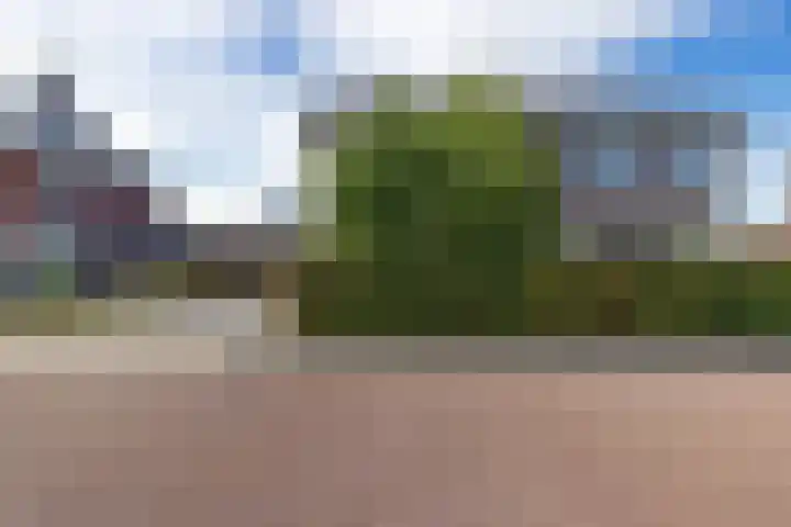 Skries 32 Wommels thumbnail 45