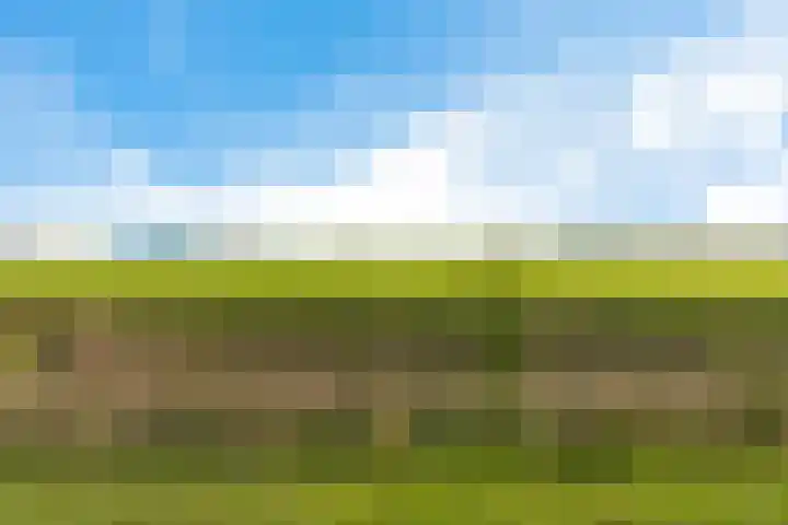 Skries 32 Wommels thumbnail 46