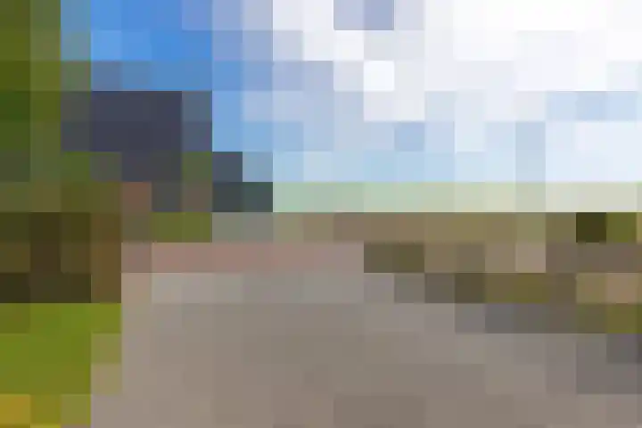 Skries 32 Wommels thumbnail 49