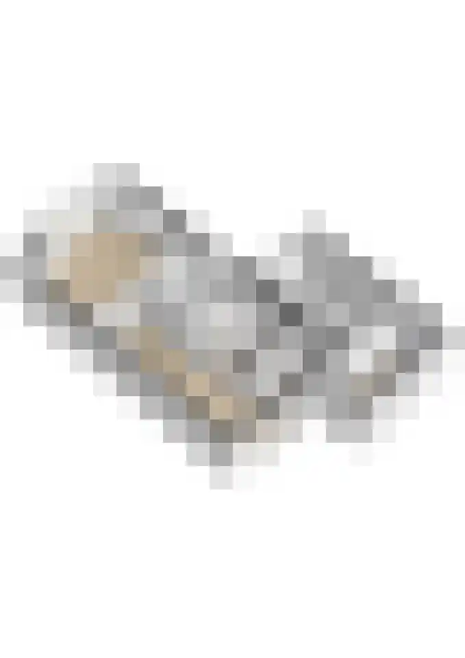 Skries 32 Wommels thumbnail 54