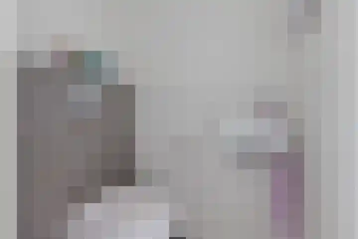 Skries 32 Wommels thumbnail 6