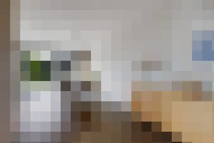 Skries 32 Wommels thumbnail 7