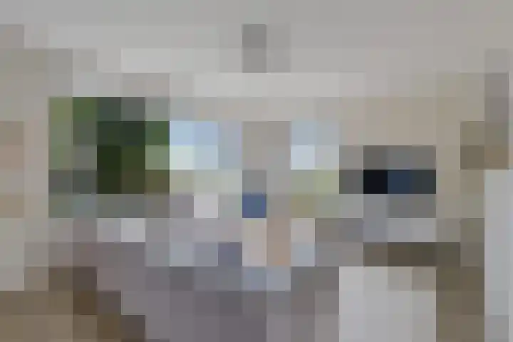 Skries 32 Wommels thumbnail 9