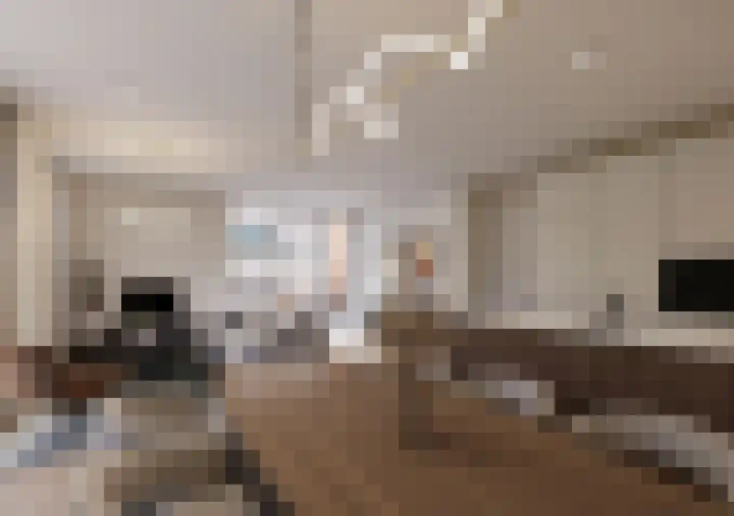 Skriesstrjitte 11 De Westereen thumbnail 4