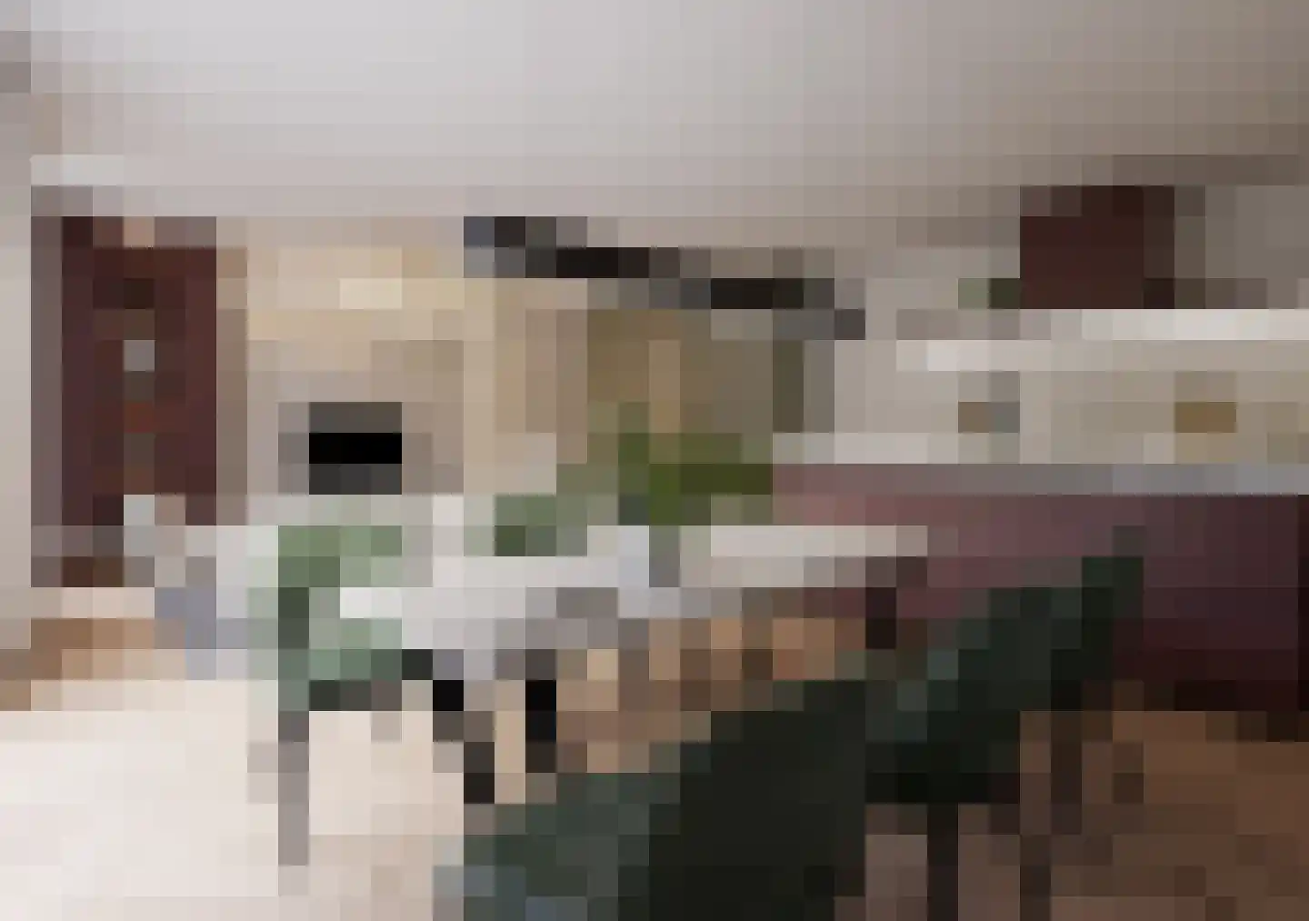 Skriesstrjitte 12 De Westereen thumbnail 4