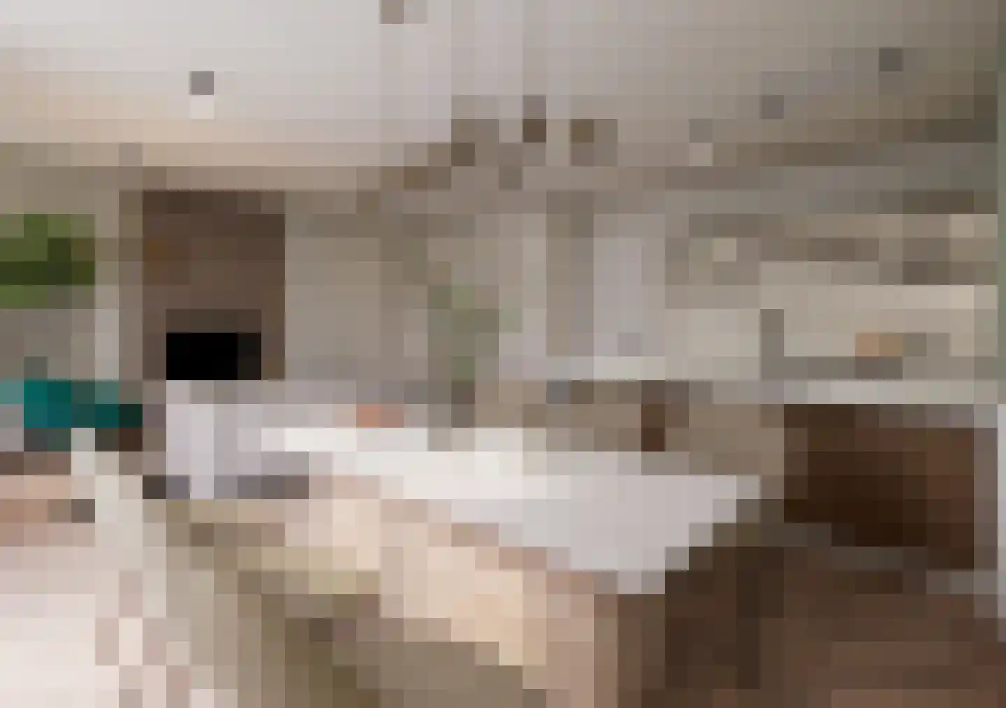 Skriesstrjitte 13 De Westereen thumbnail 4