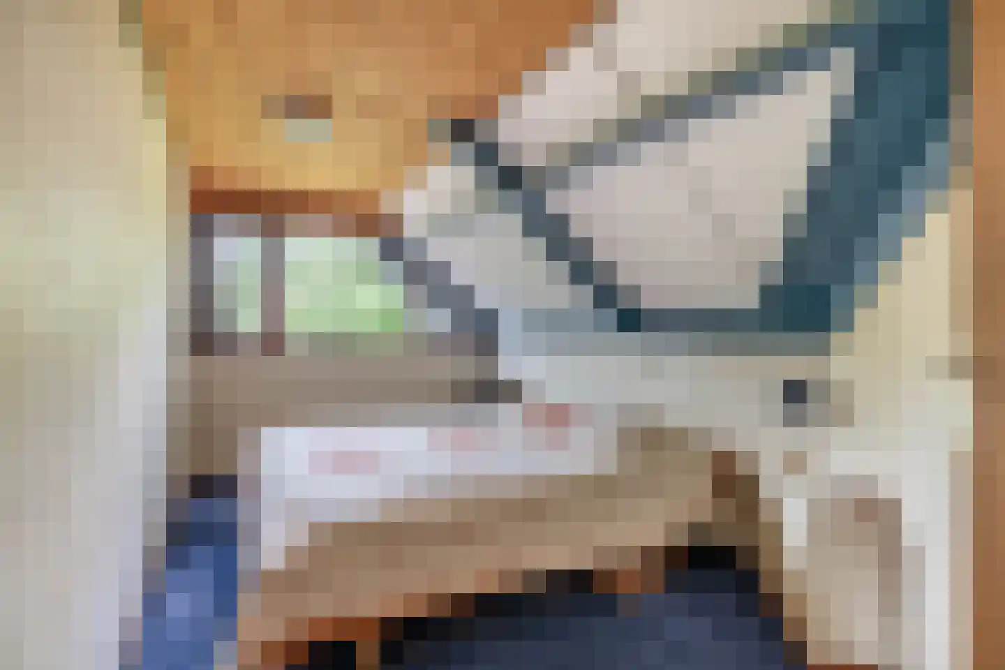 Skriesstrjitte 21 Feanwâlden thumbnail 27