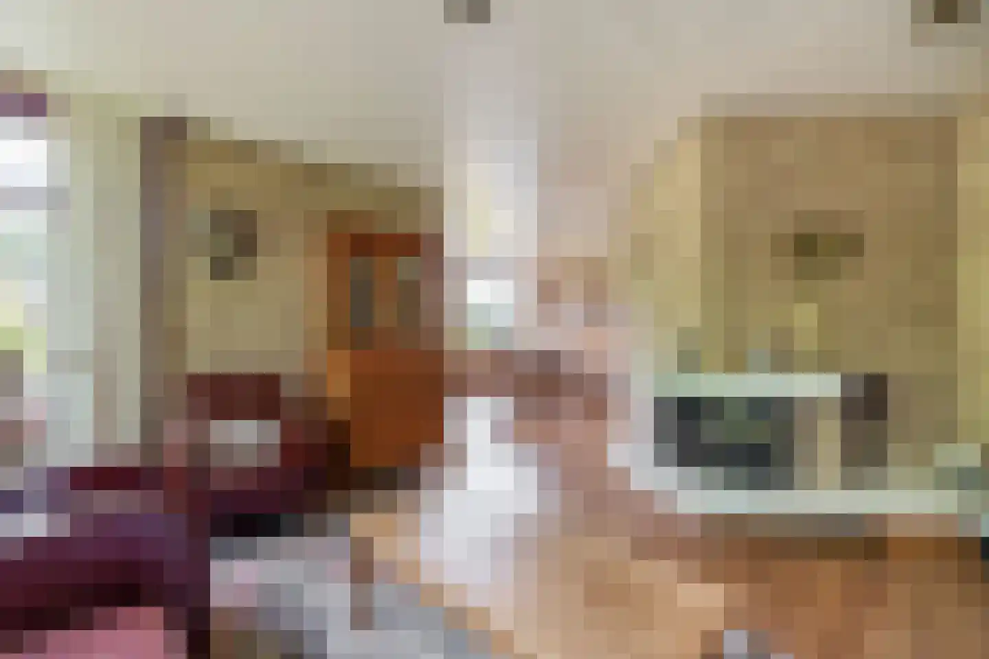 Skriesstrjitte 21 Feanwâlden foto 3