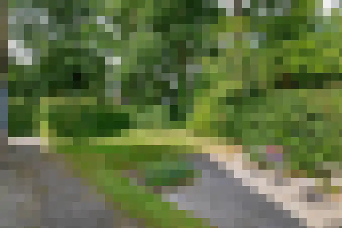 Skriesstrjitte 21 Feanwâlden thumbnail 38