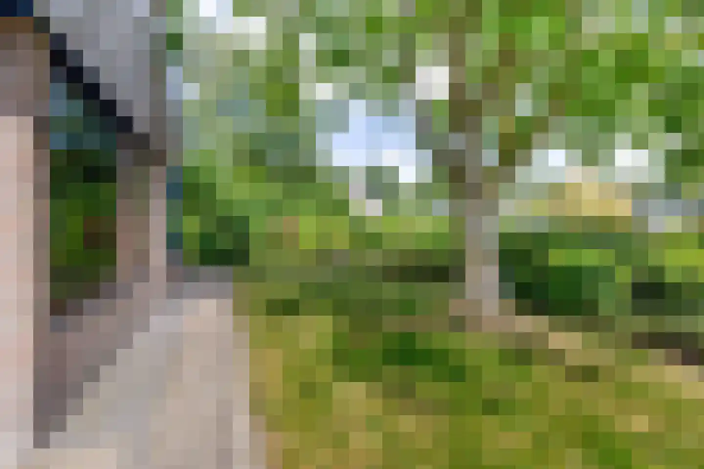 Skriesstrjitte 21 Feanwâlden thumbnail 43