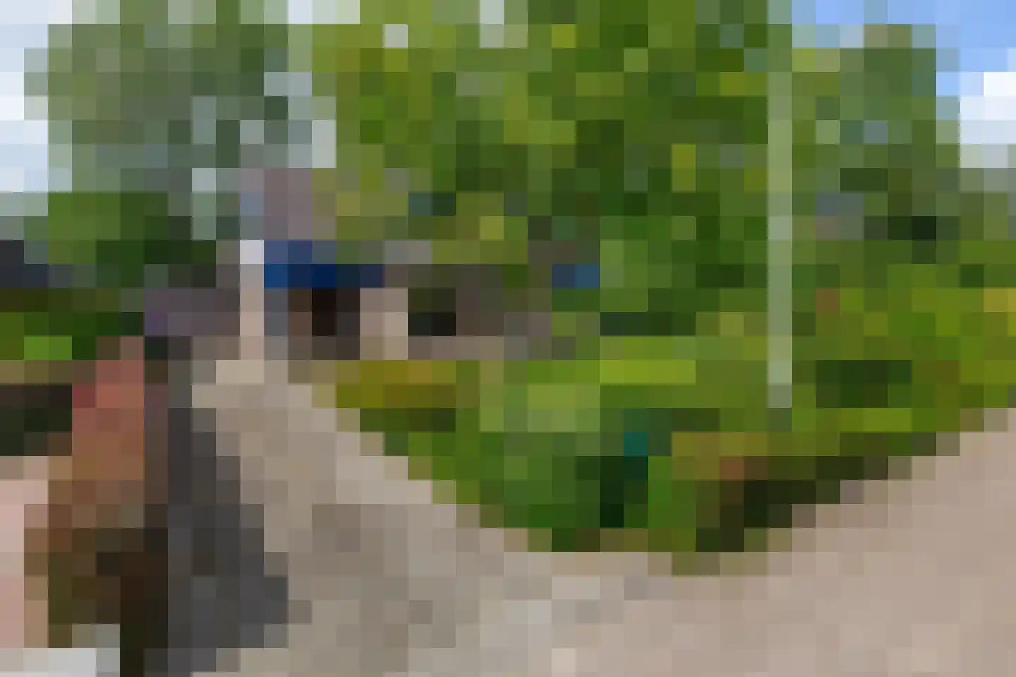 Skriesstrjitte 21 Feanwâlden thumbnail 47