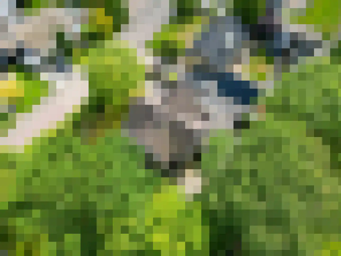 Skriesstrjitte 21 Feanwâlden thumbnail 49