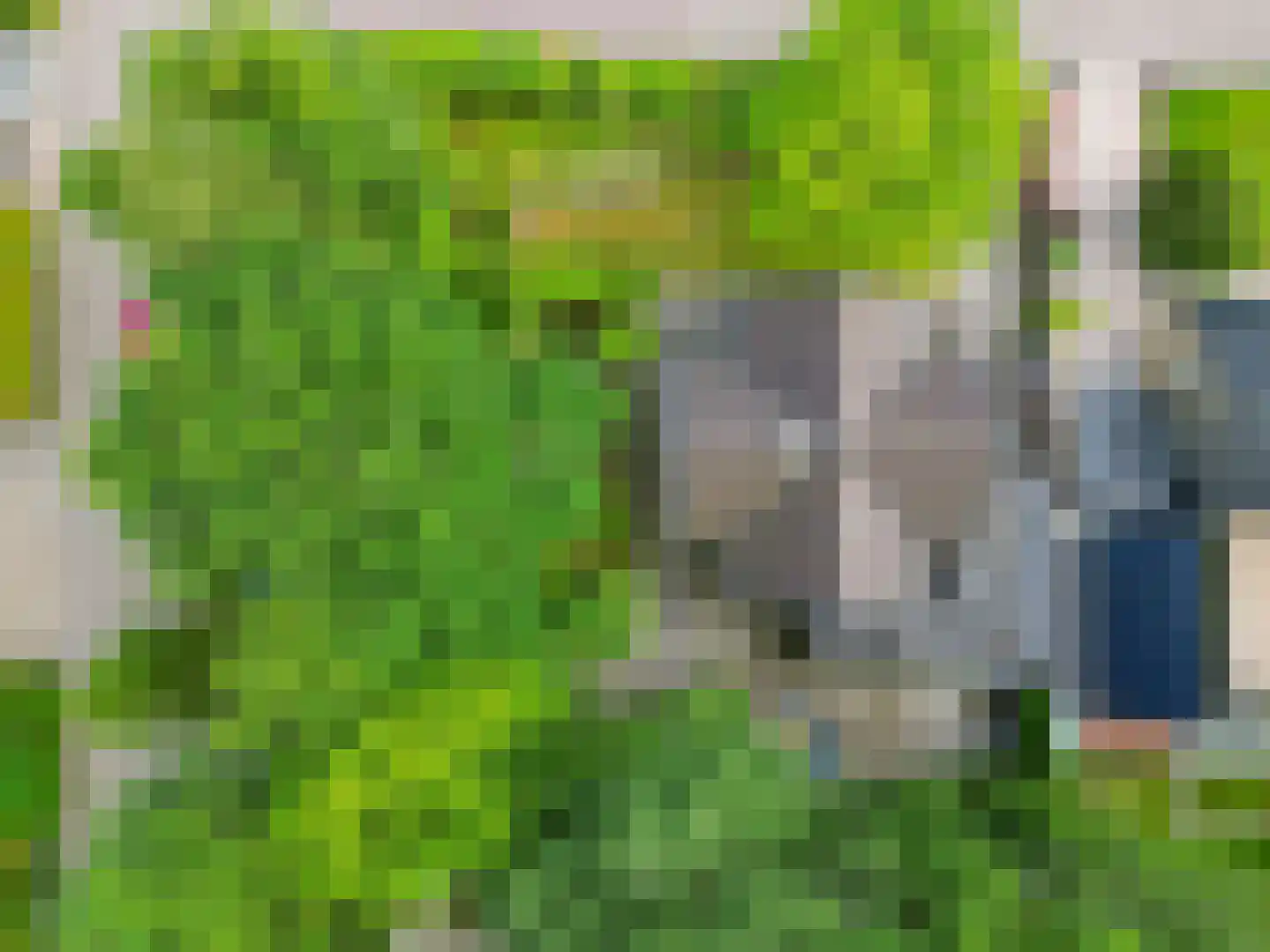 Skriesstrjitte 21 Feanwâlden thumbnail 50