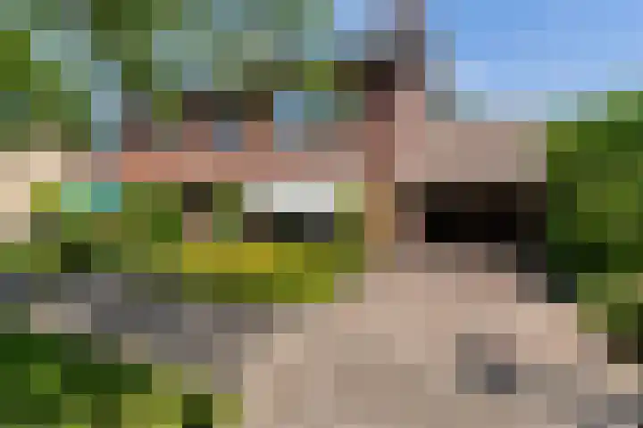 Skriesstrjitte 35 Stiens