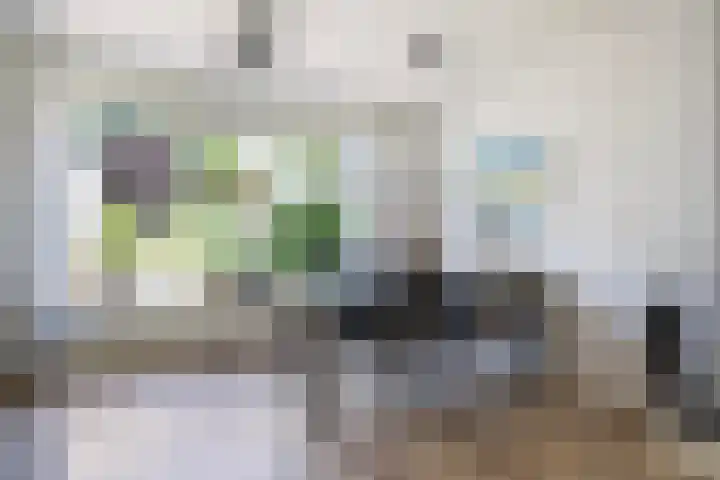Skriesstrjitte 35 Stiens thumbnail 10