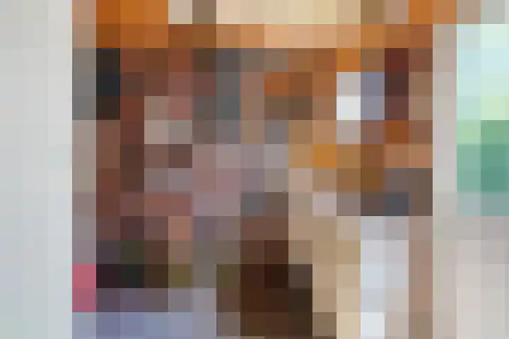 Skriesstrjitte 35 Stiens thumbnail 15