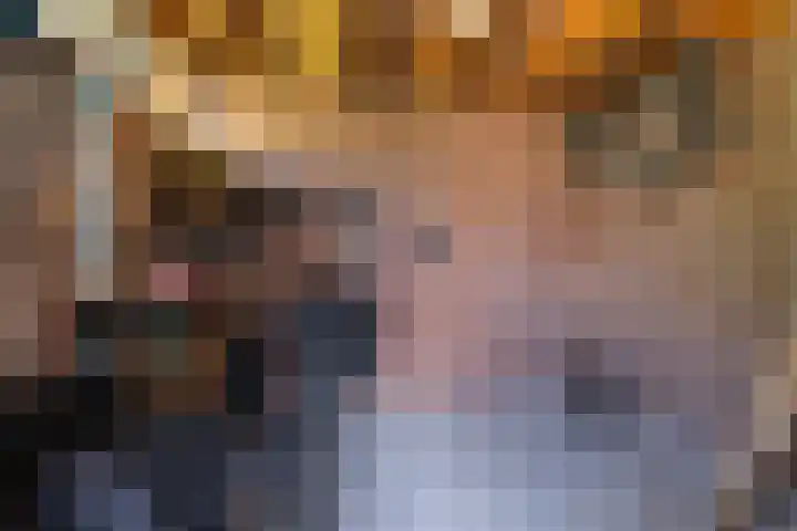 Skriesstrjitte 35 Stiens thumbnail 28