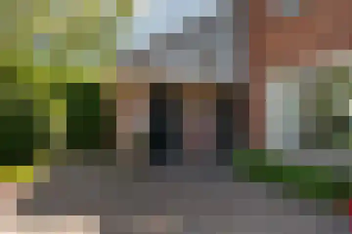Skriesstrjitte 35 Stiens thumbnail 31