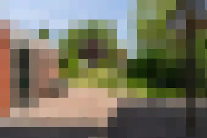 Skriesstrjitte 35 Stiens thumbnail 32