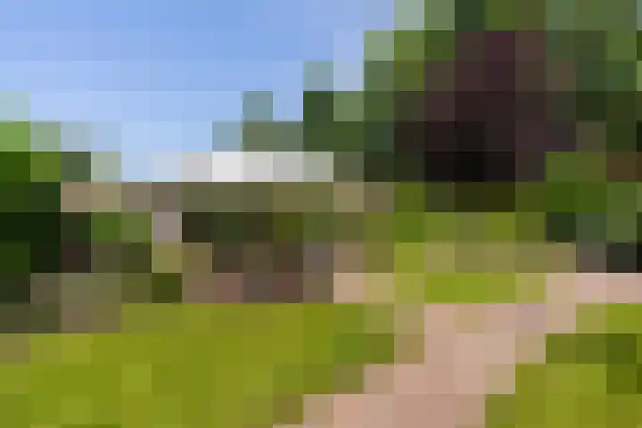 Skriesstrjitte 35 Stiens thumbnail 33