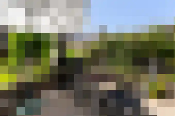 Skriesstrjitte 35 Stiens thumbnail 34