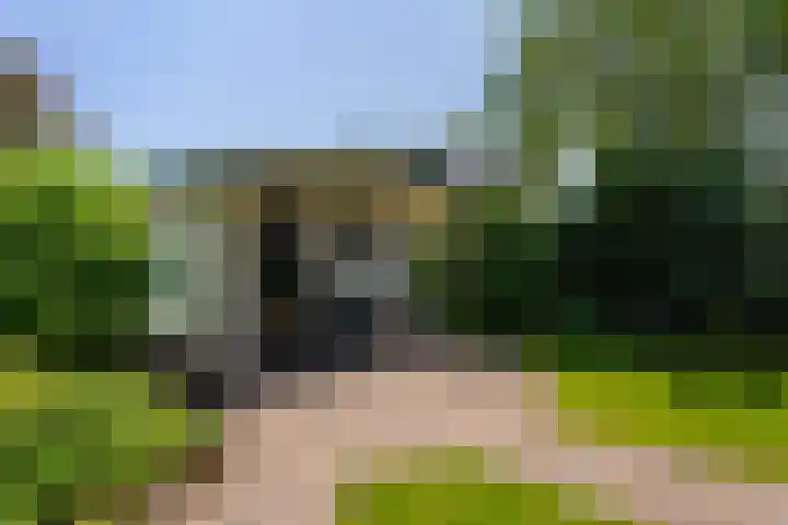 Skriesstrjitte 35 Stiens thumbnail 35
