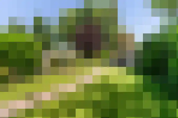 Skriesstrjitte 35 Stiens thumbnail 36