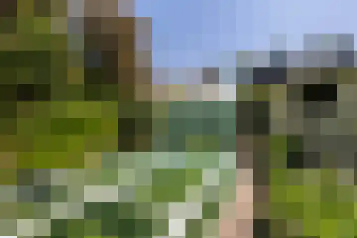 Skriesstrjitte 35 Stiens thumbnail 37
