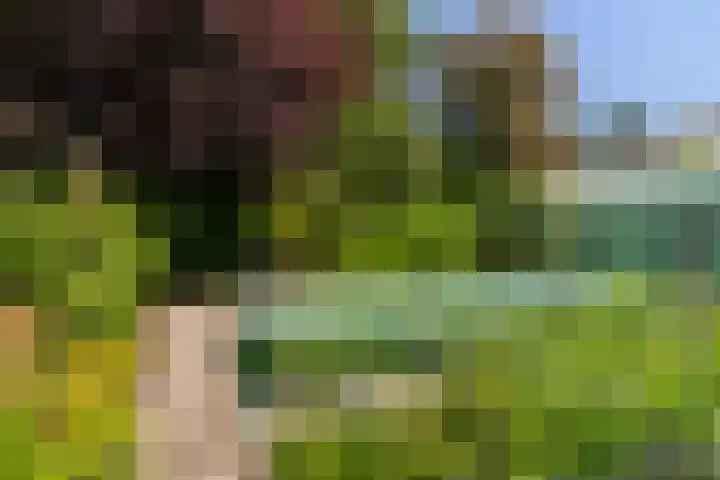 Skriesstrjitte 35 Stiens thumbnail 38