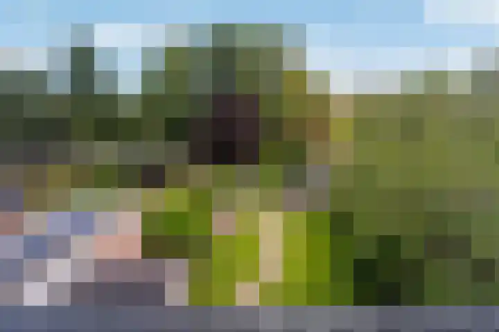 Skriesstrjitte 35 Stiens thumbnail 39